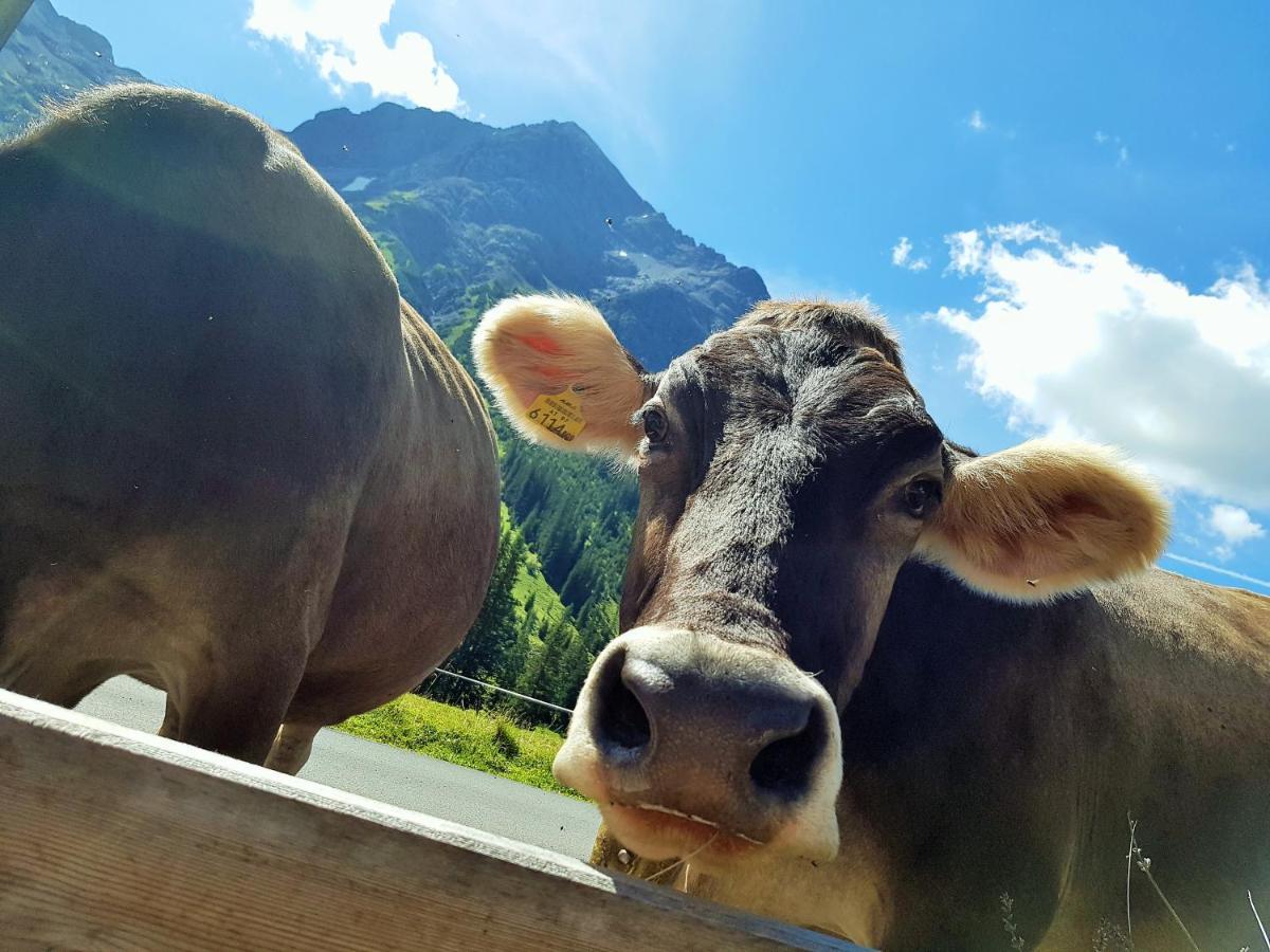 Gasthof Auerhahn Lech am Arlberg Exteriör bild